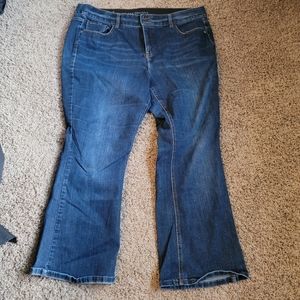 Lane Bryant Jeans